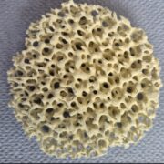 DAC-MetFoam: mit Lewatit-Granulat-Pulver beschichteter Metallschaum