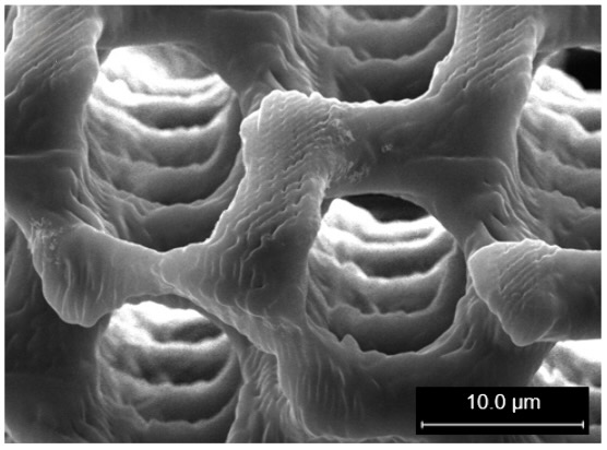 BeitragsbildOnlineHPLC 3D_Werres Gyroidstruktur als Makroporenarchitektur eines Polymer-Monoliths